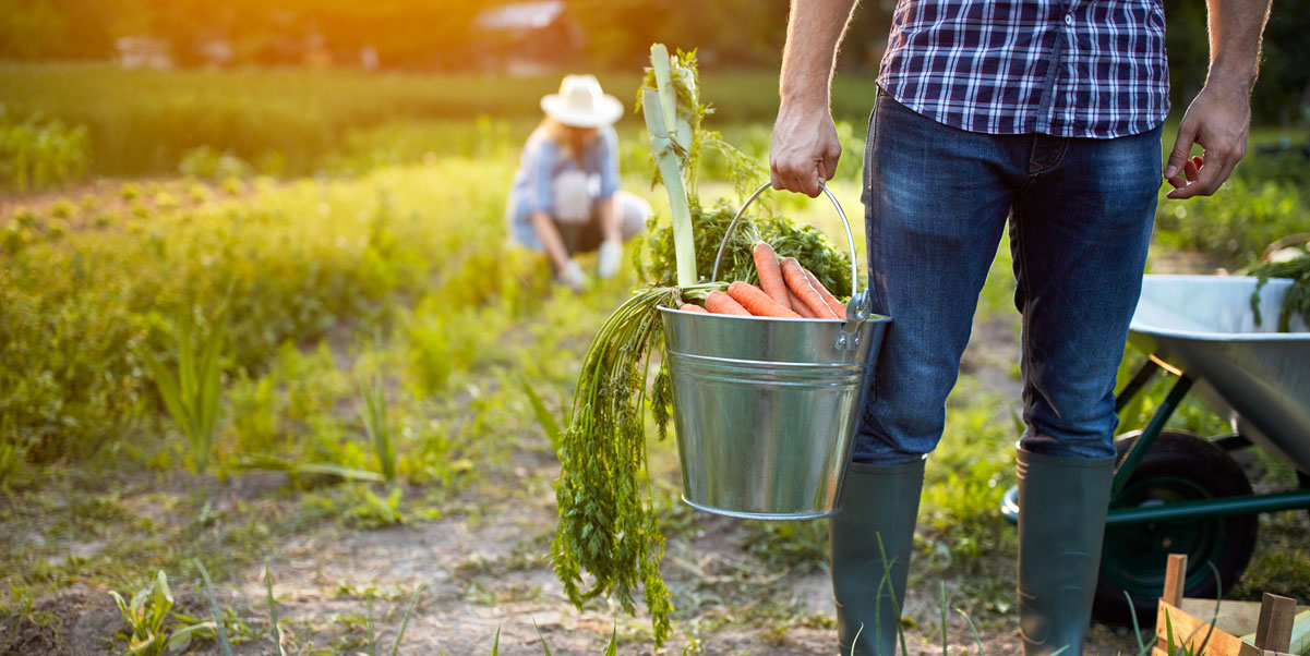 Bienvenue sur le site de l'association graines de soleil